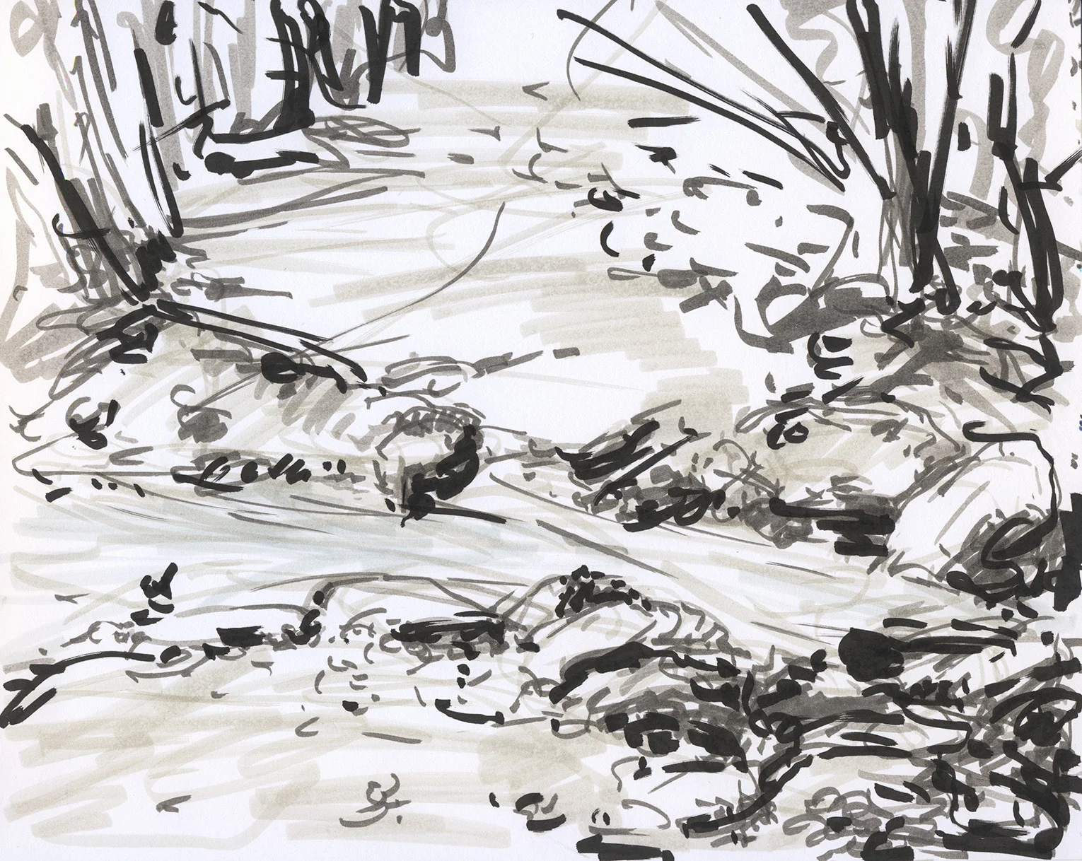 Stream from Ward Pond