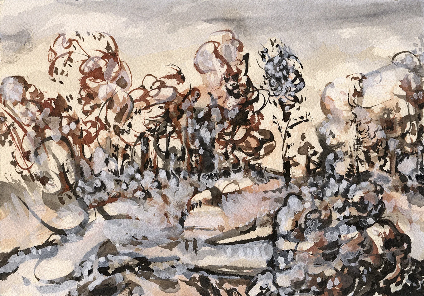 Underbrush