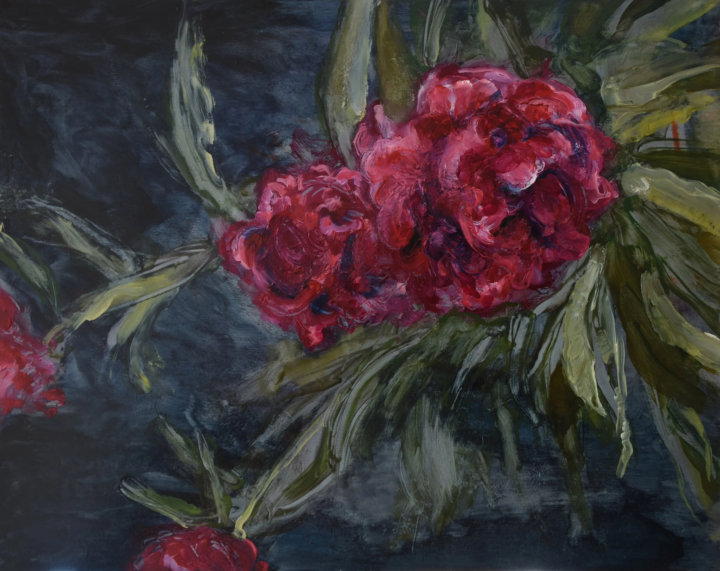 Peonies