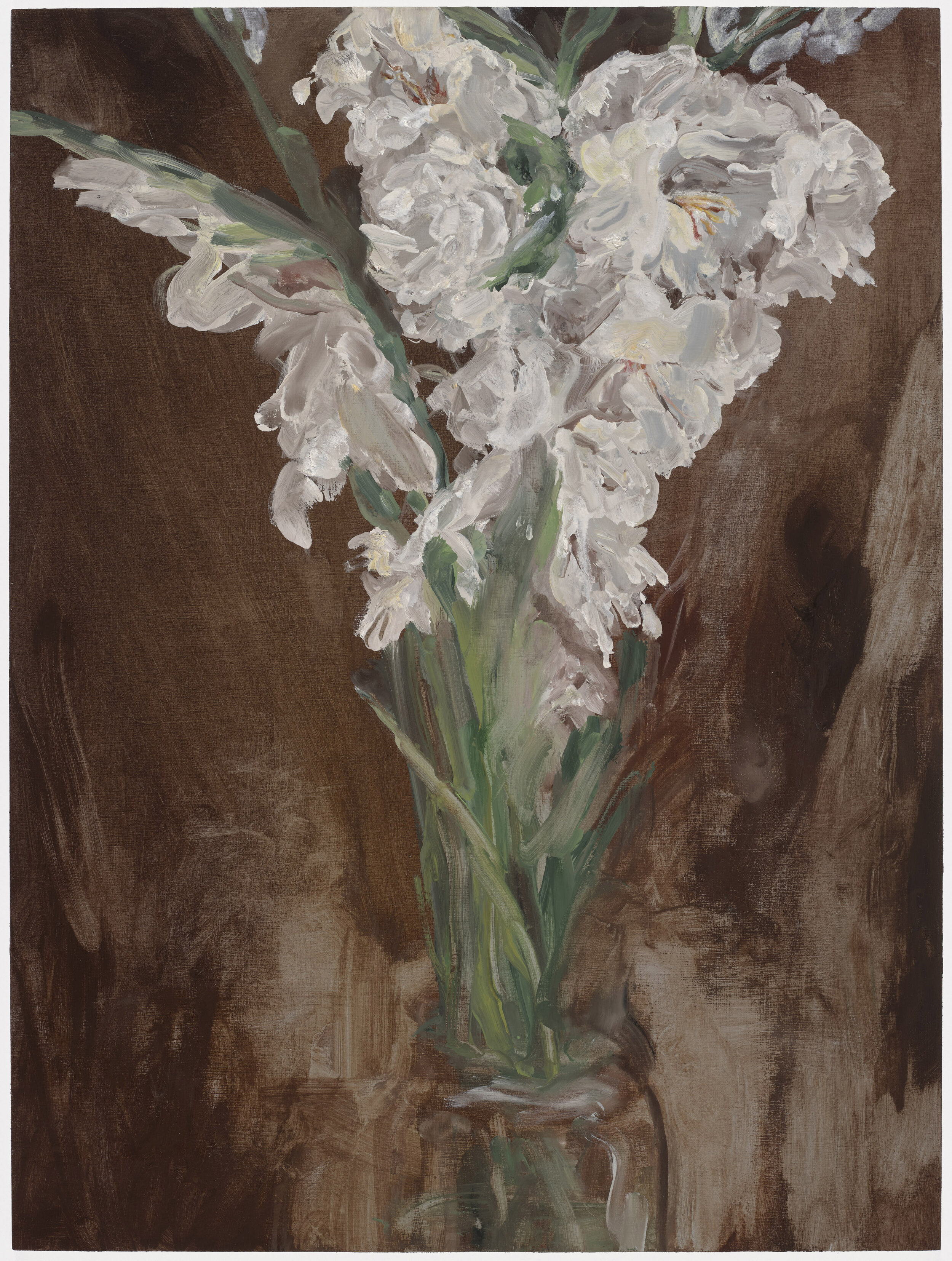 Gladioli