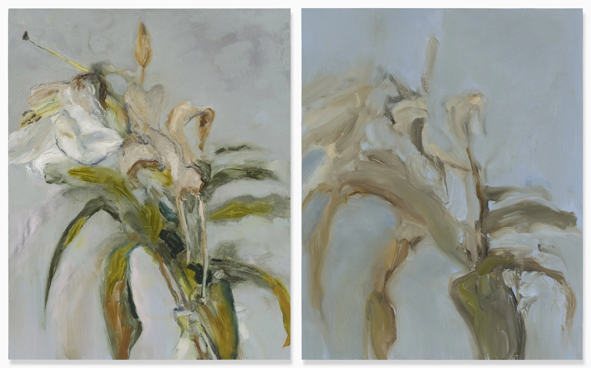 Lily #16 & Lily #17