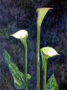 Lily Dudgeon's 3rd prize.jpg