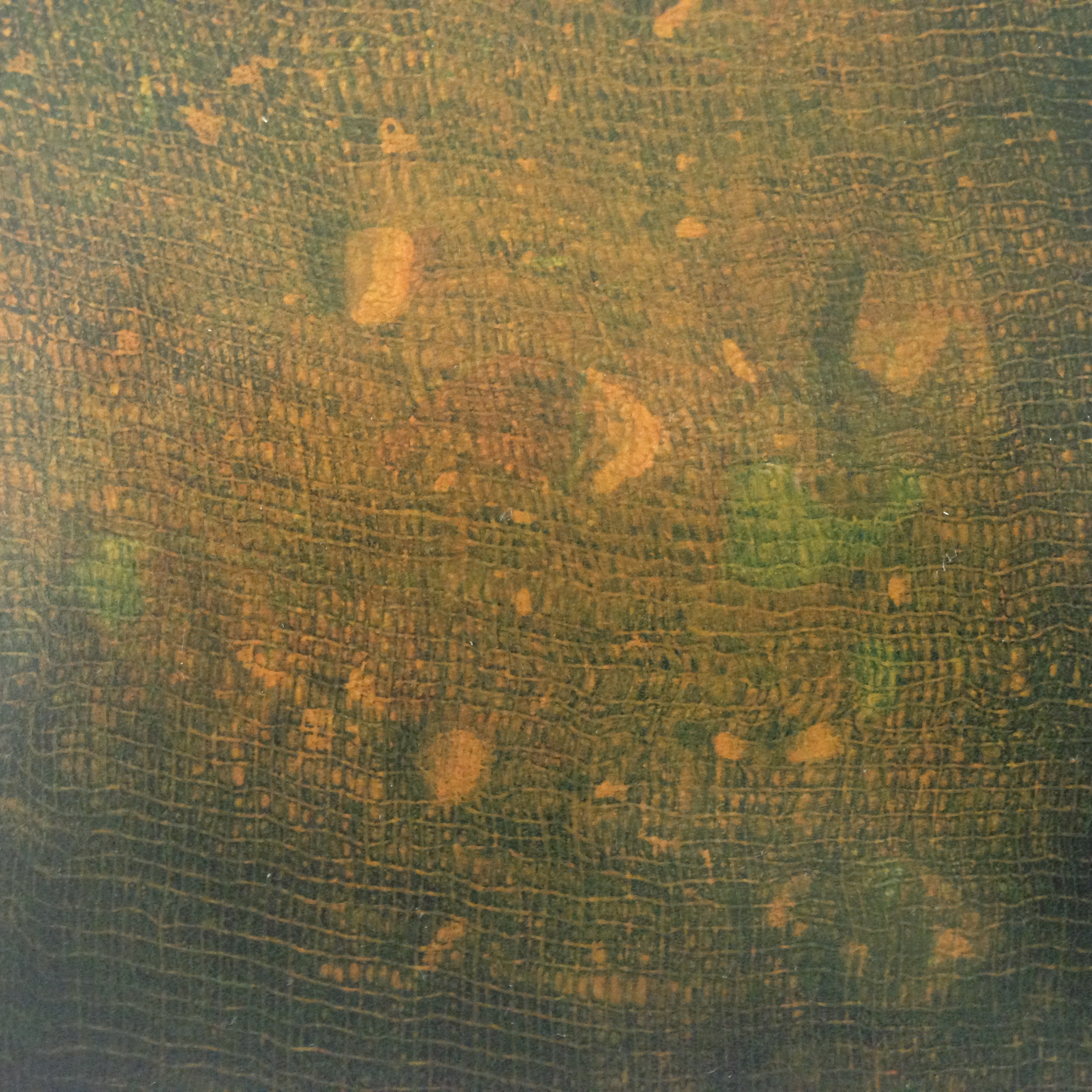 Veiled Landscape (Monoprint 1/1)