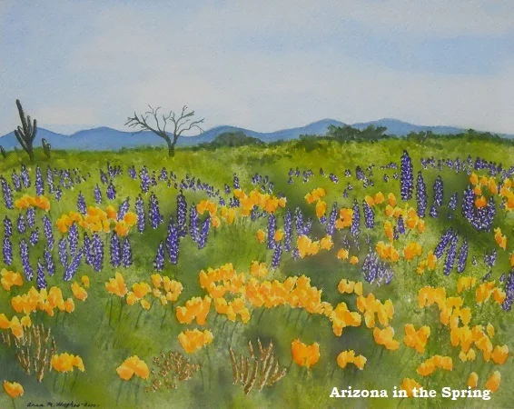 arizona in the spring.jpg
