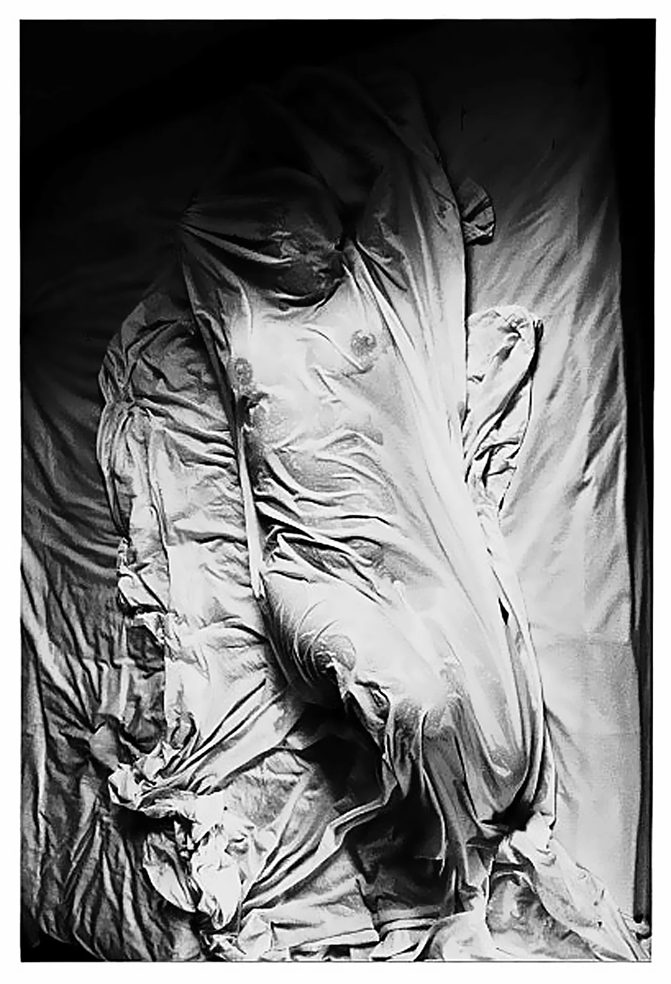 THIRD PLACE Patricia Izzo , The Comfort of my Bed