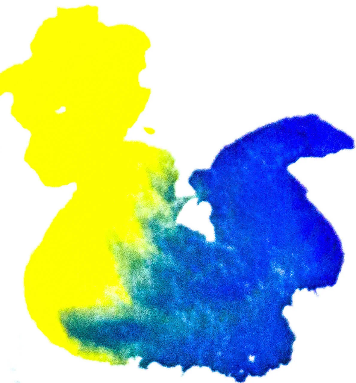 Previous newsletters yellow cobalt.jpg
