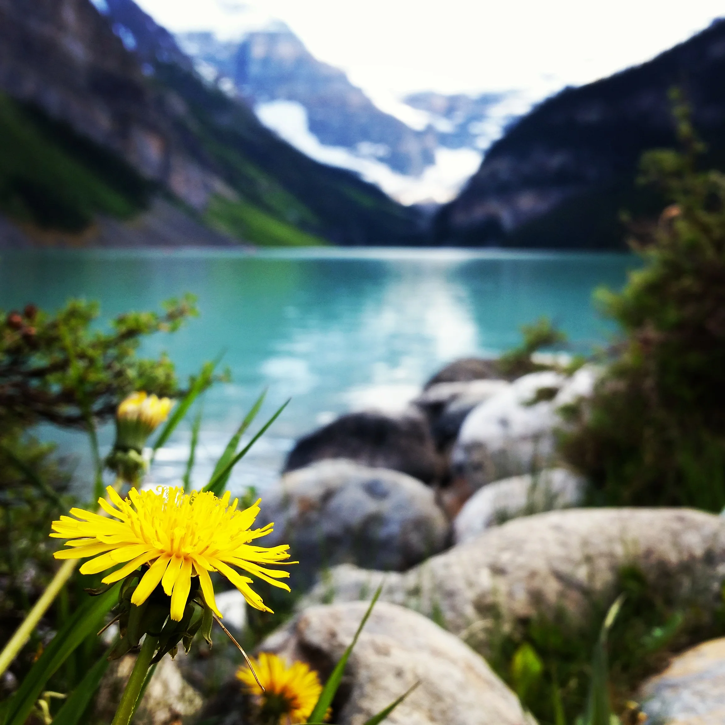 Lake Louise, Banff National Park, Alberta, Canada