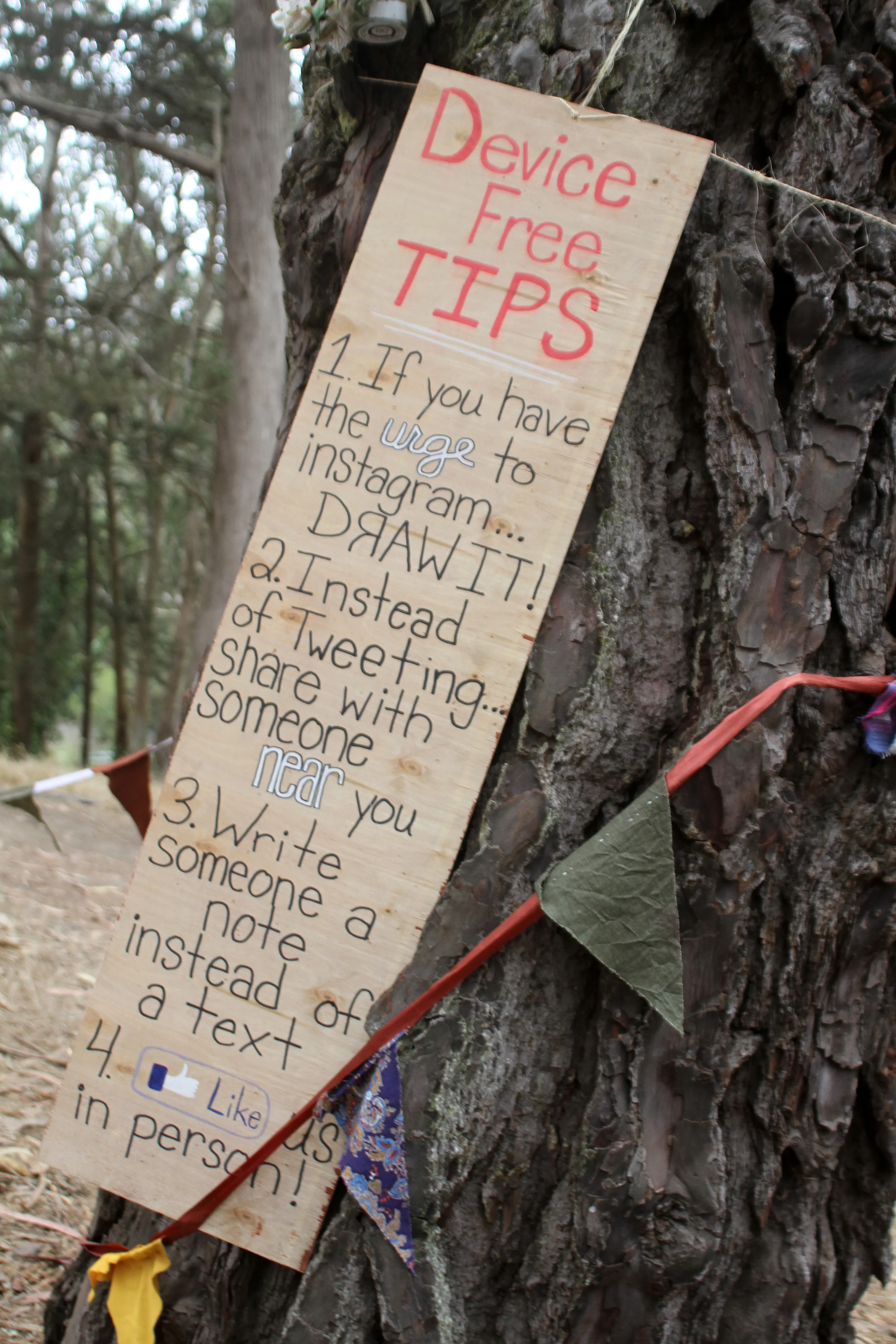 By Flickr user Rusty Blazenhoff , at Outside Lands 2013