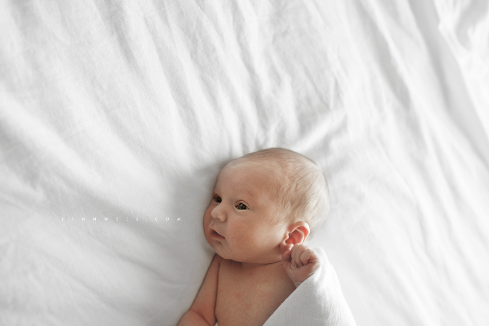 IMG_0136-copy1-fb.png