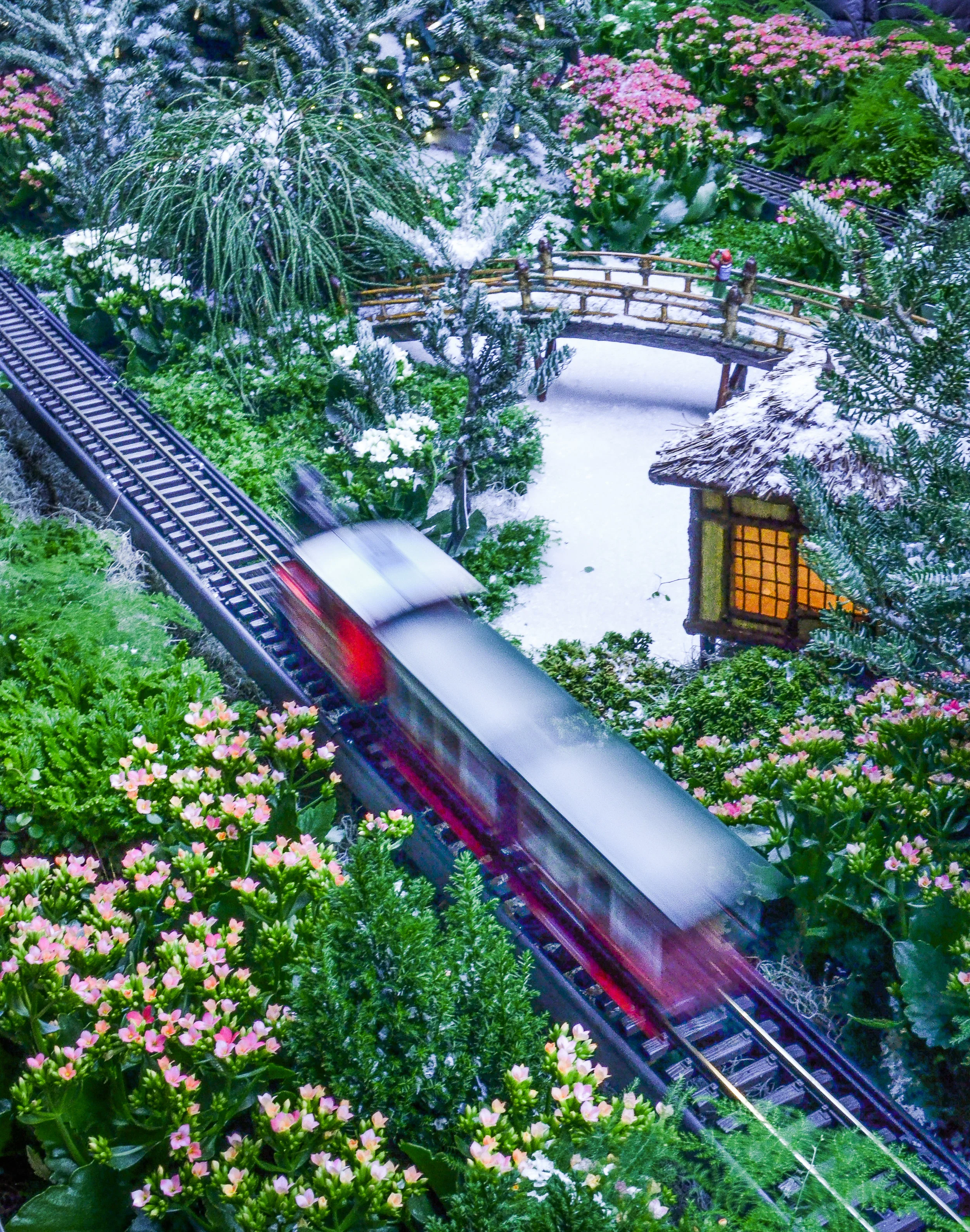 All Aboard! Chicago Botanic Garden at Christmas