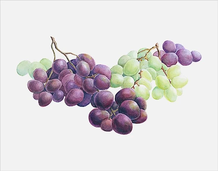 Grapes