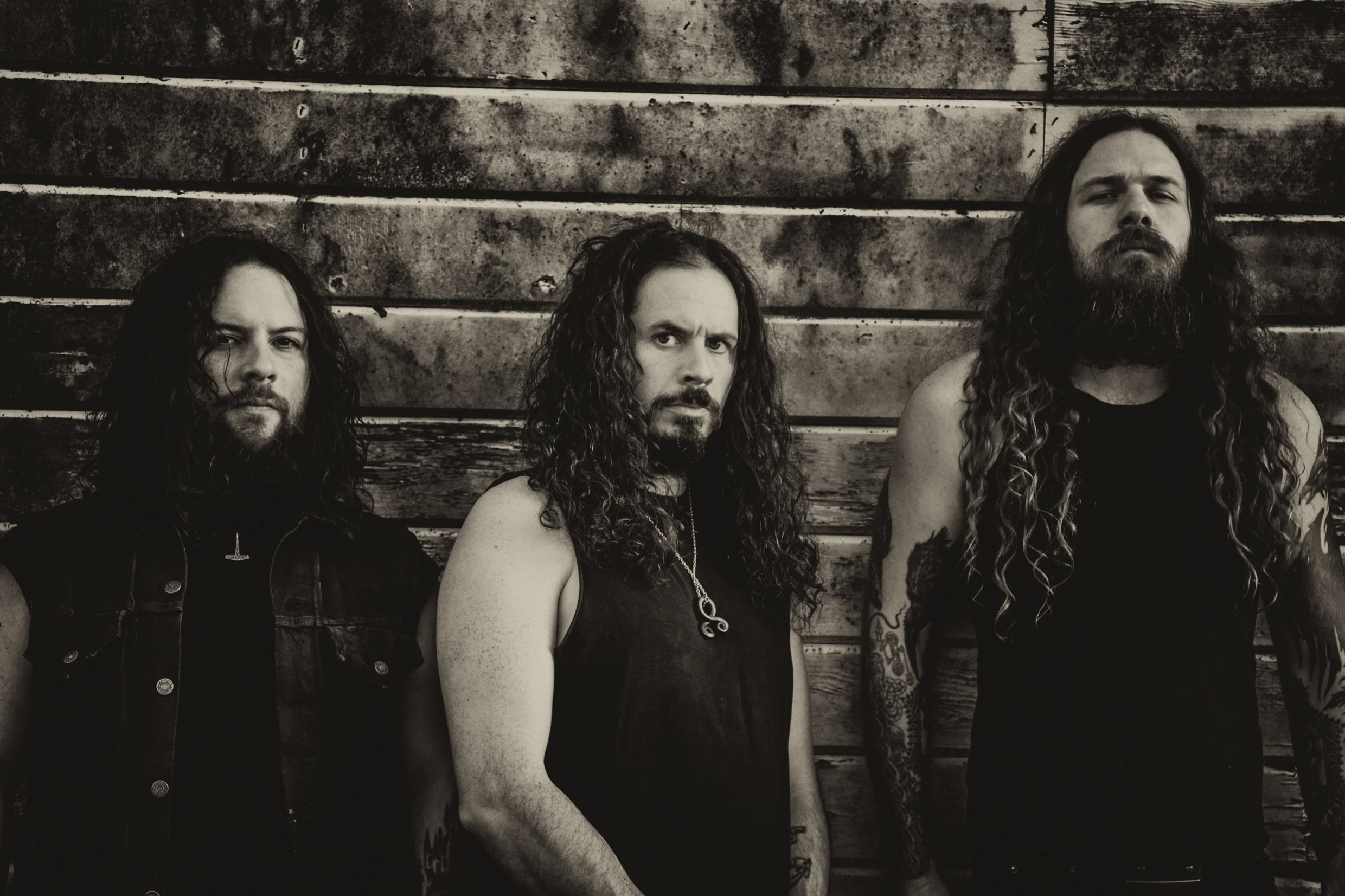 WOLVES IN THE THRONE ROOM