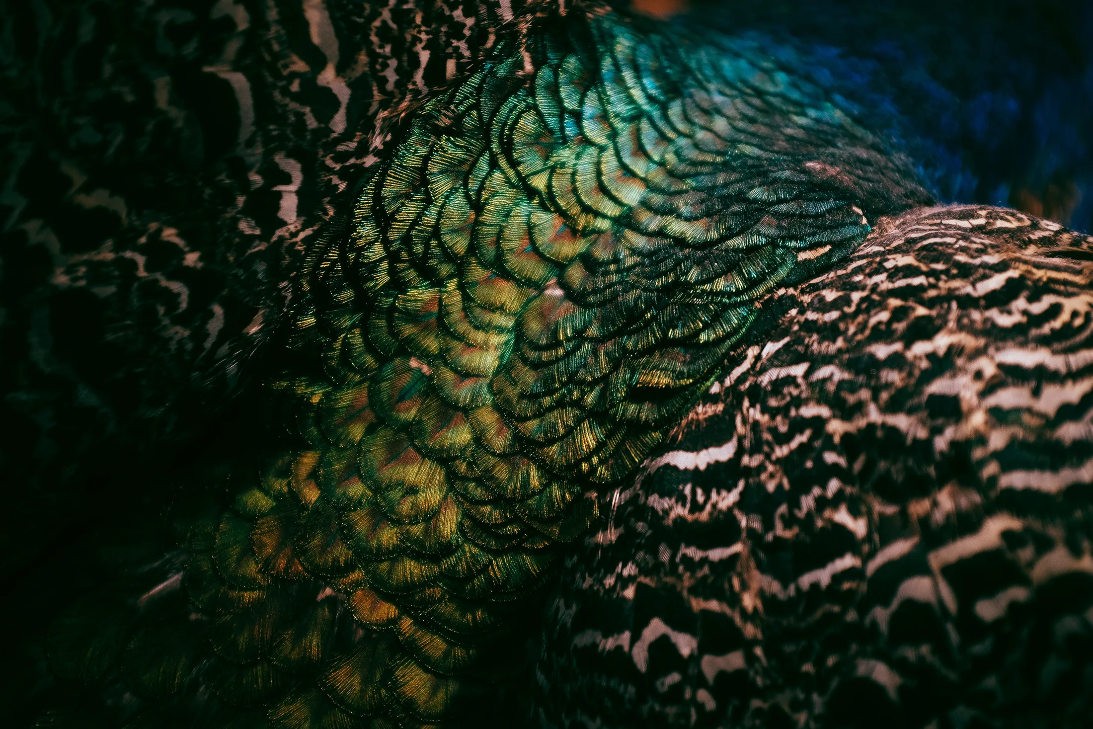 Art-3.jpg