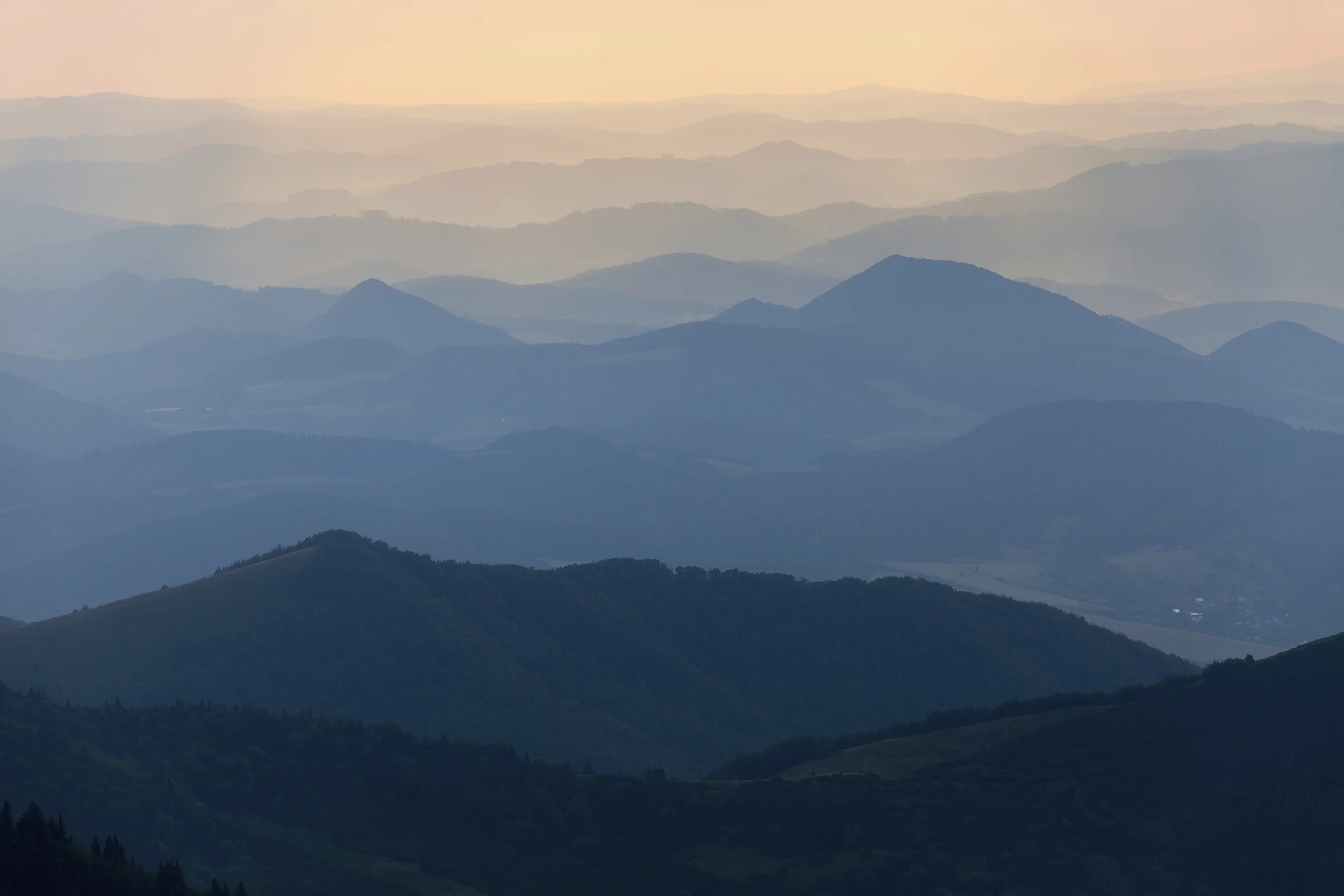 iStock_000070996717_Large.jpg
