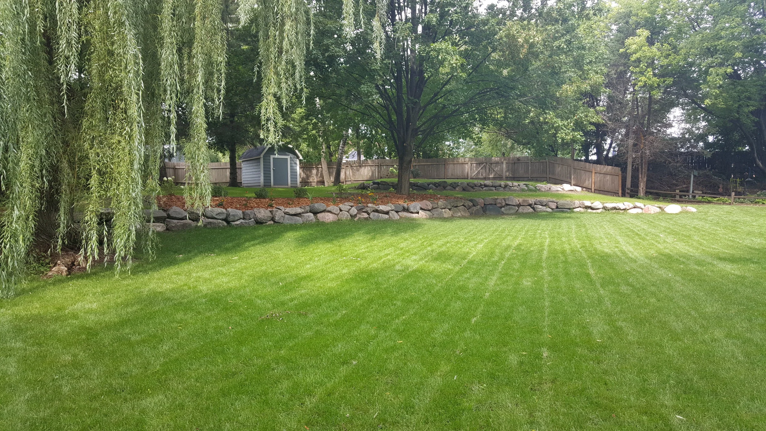Backyard2.jpg