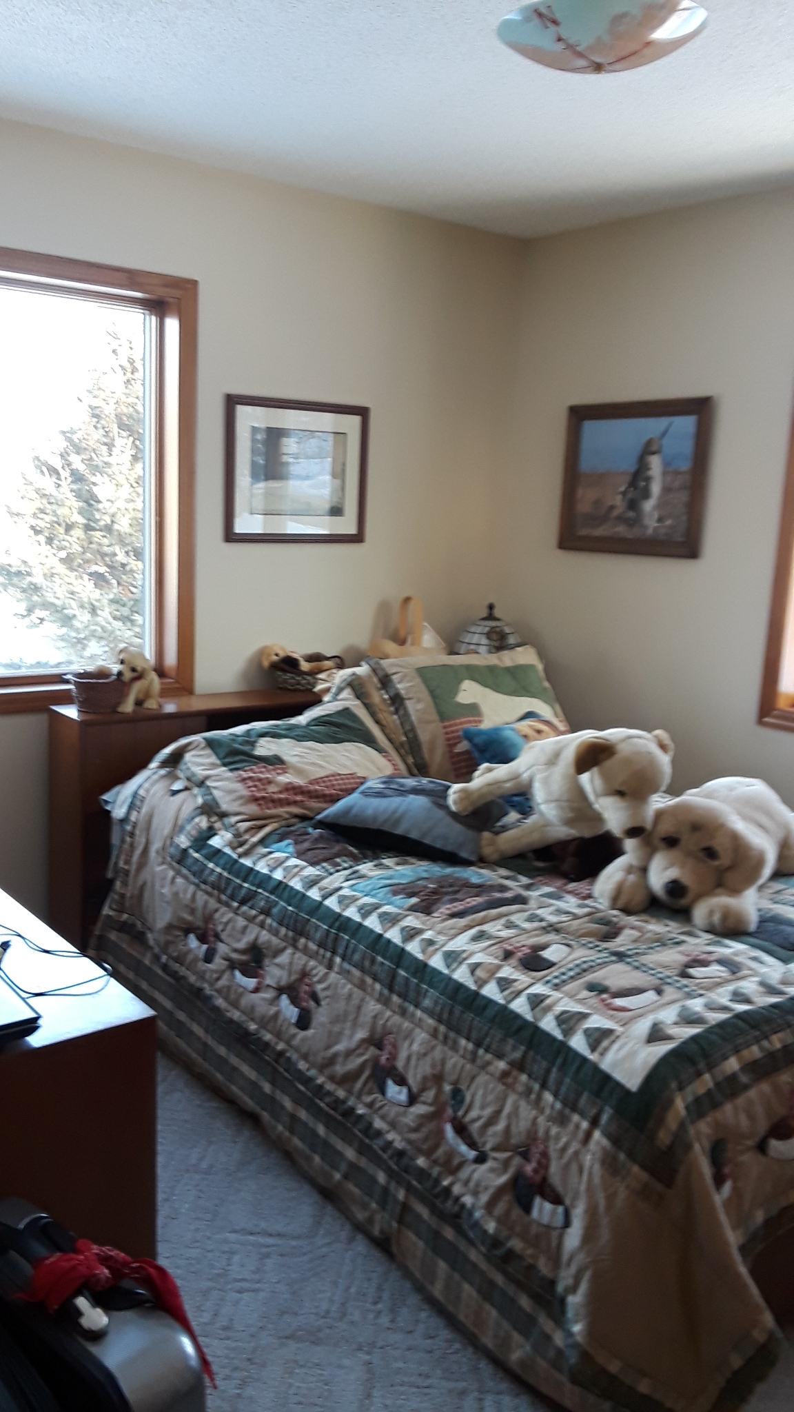 20180214_163221.jpg