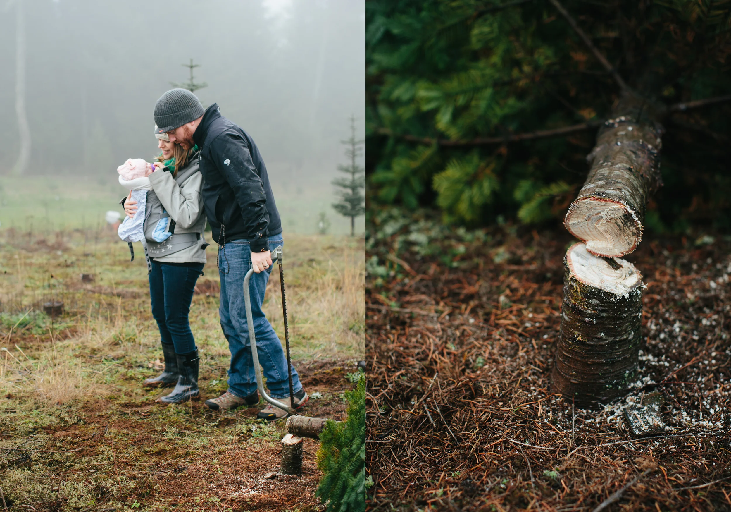 christmas_tree_cutting_60.jpg