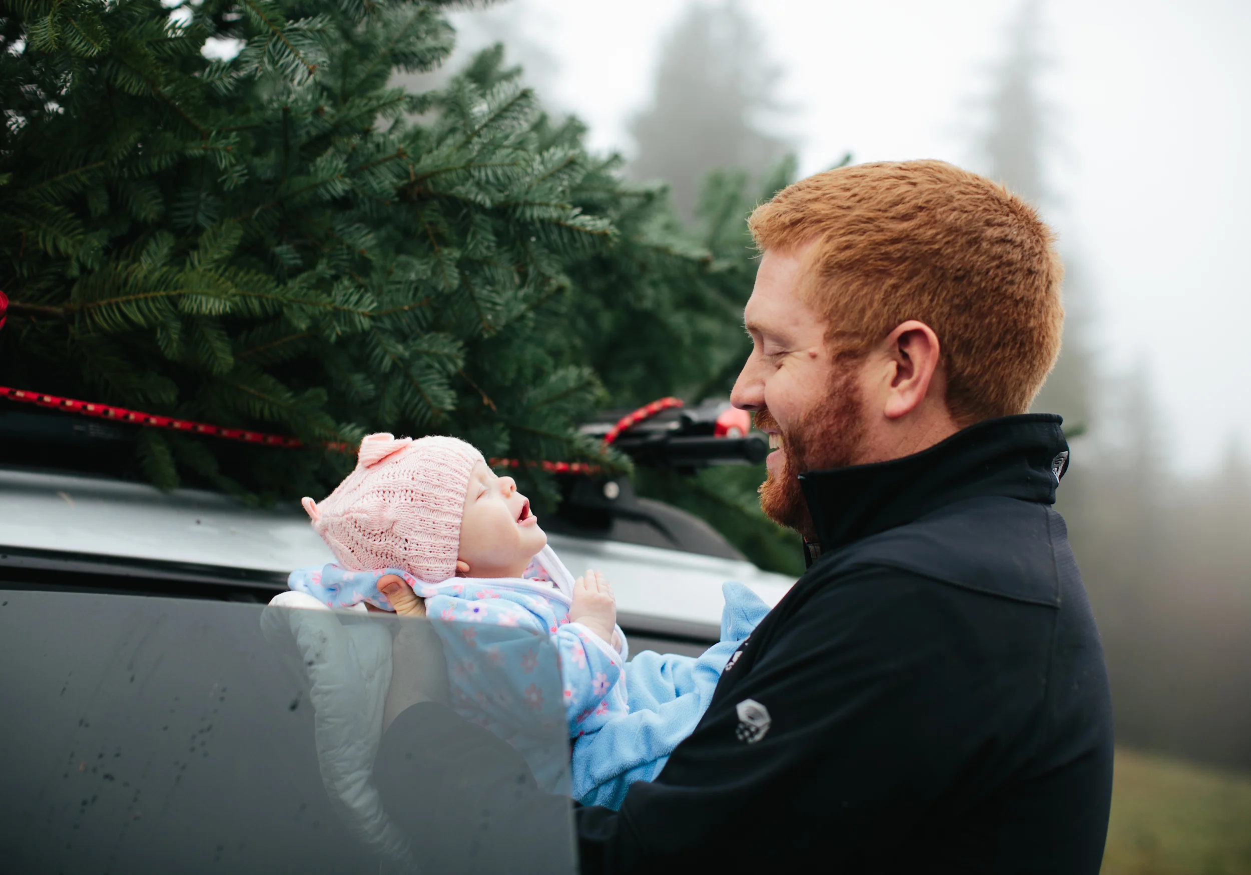 christmas_tree_cutting_68.jpg
