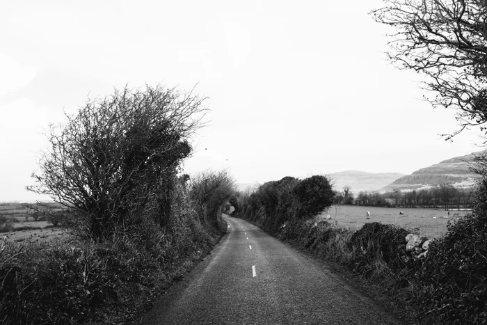 ireland_0030.jpg