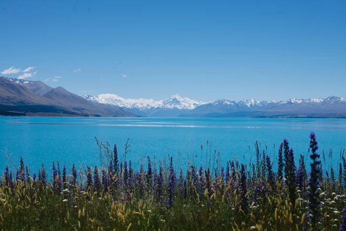 093new_zealand.jpg
