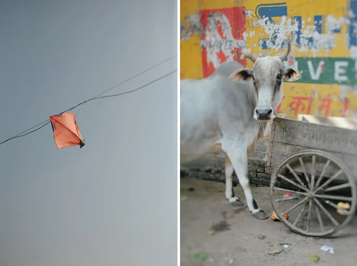 india0002.jpg