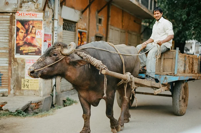 india0028.jpg