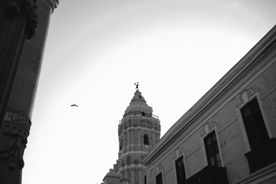 AAC04132.jpg