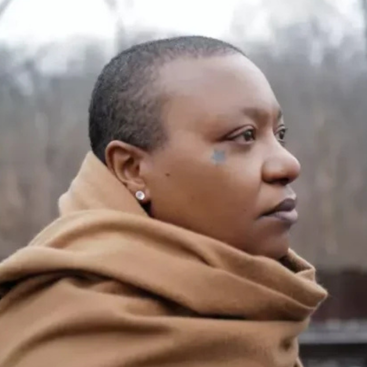 Meshell Ndegeocello.png