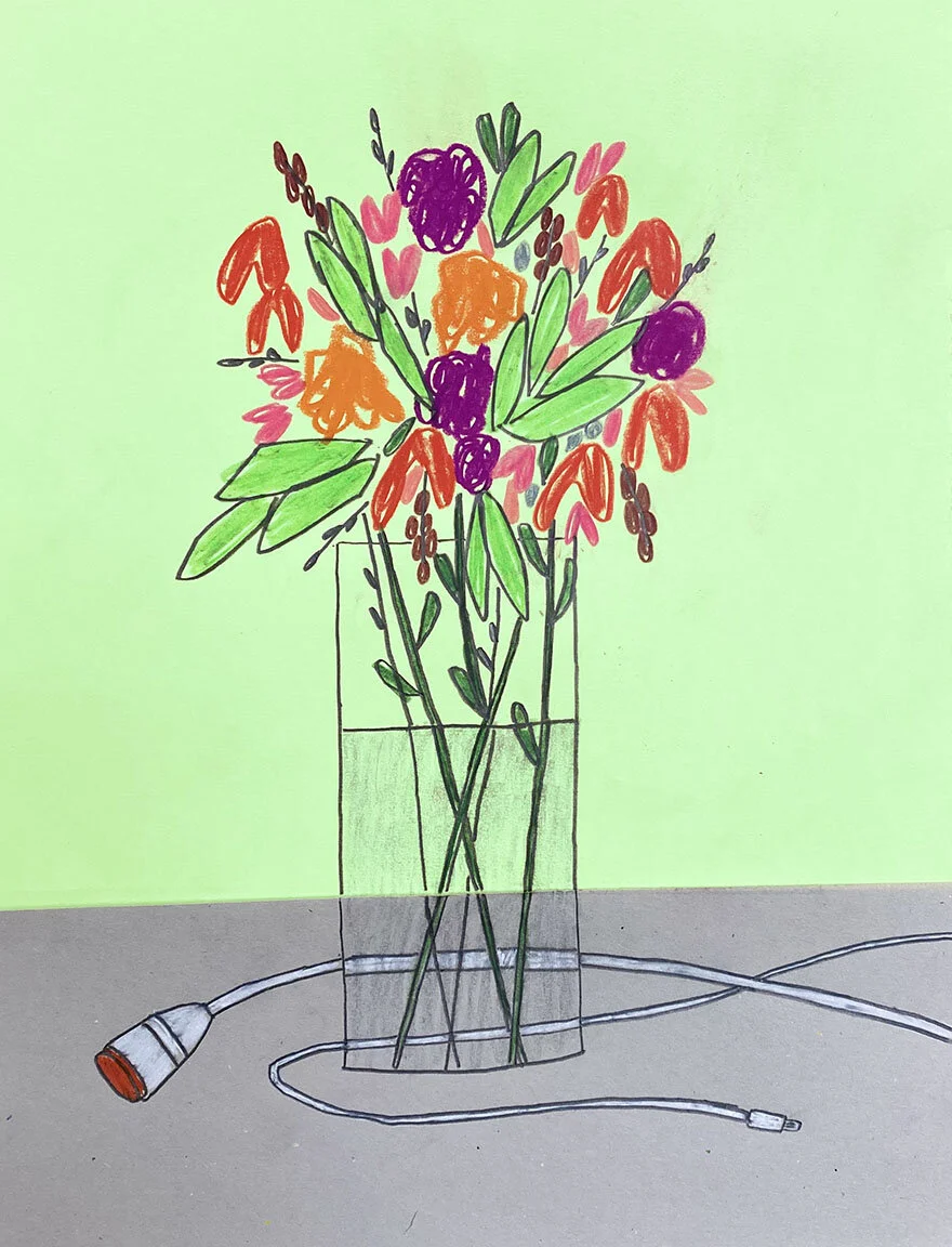    Flowers for Sick People  , ongoing multimedia project 