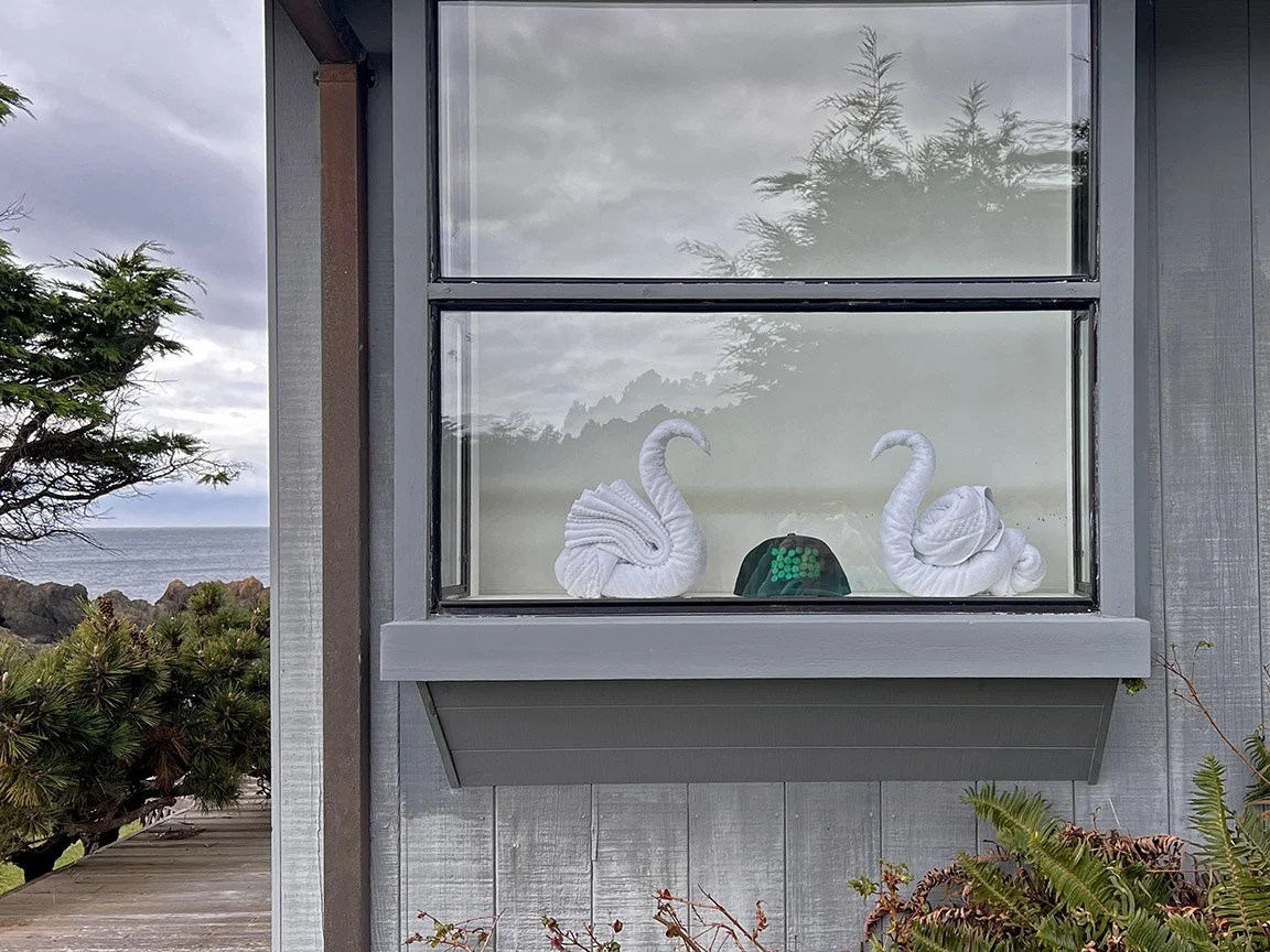 GREENDOTSHAT SWANS SHADE.jpg