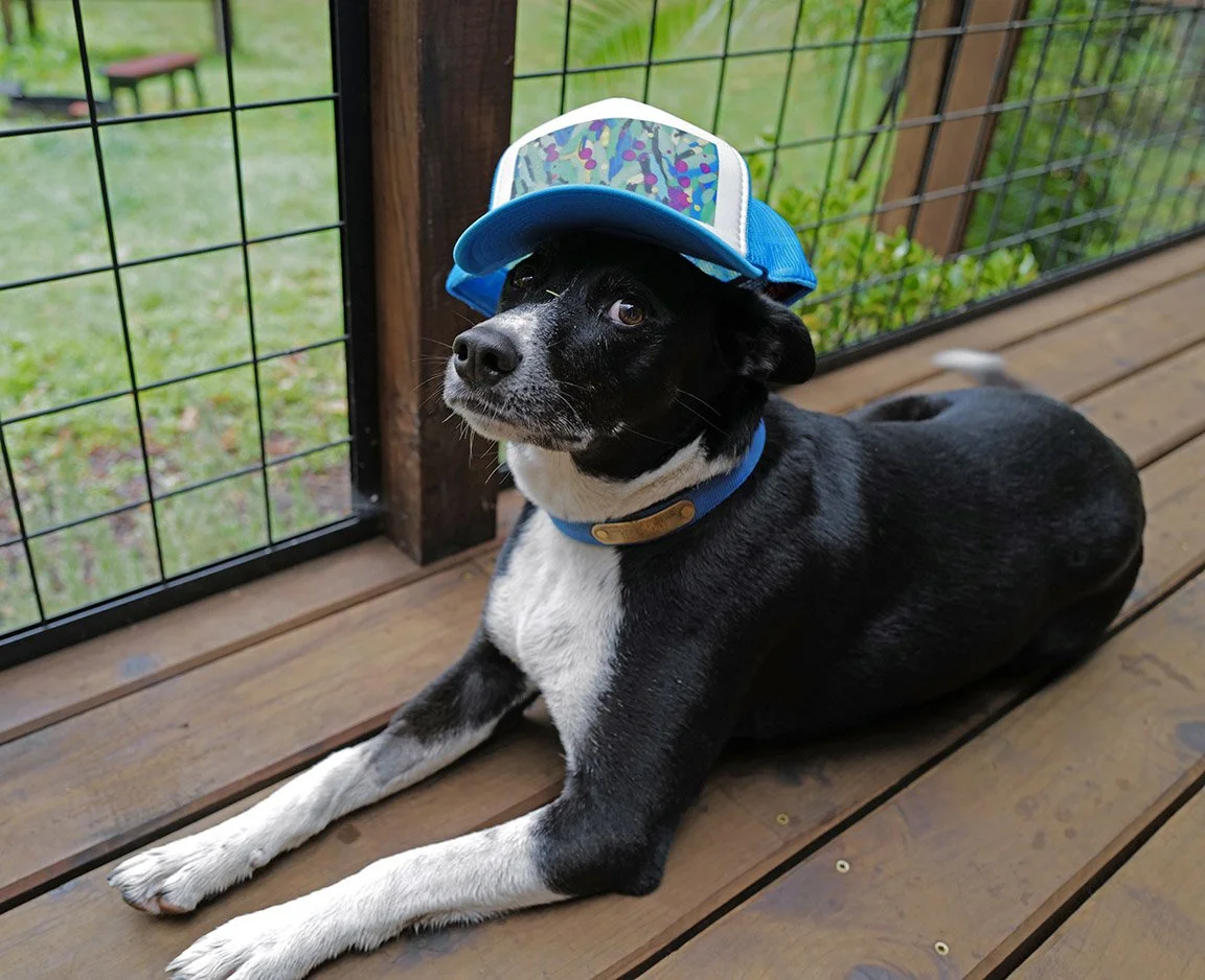 FLOWERTRUCKER DOG2.jpg