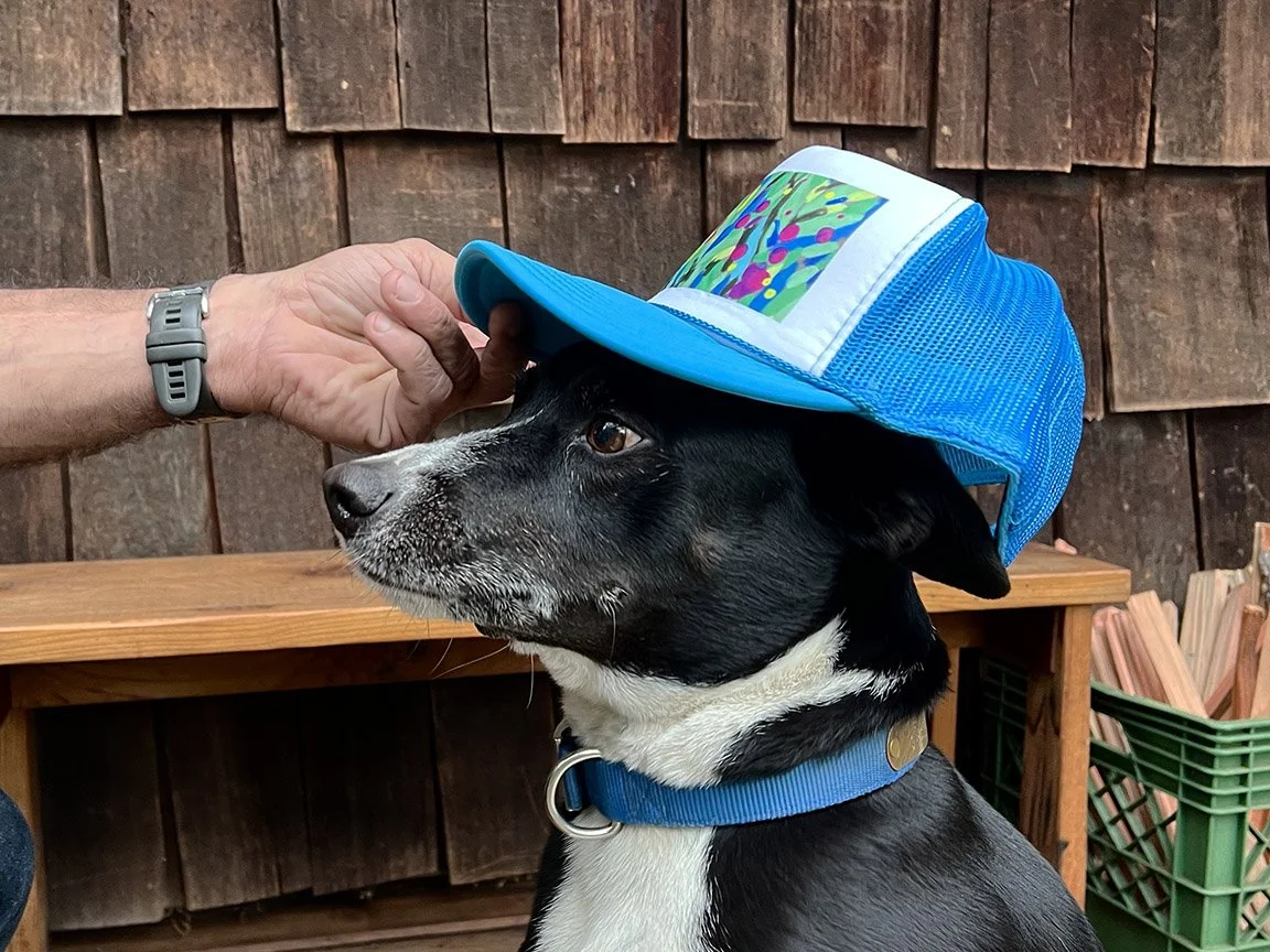 FLOWERTRUCKER DOG1.jpg