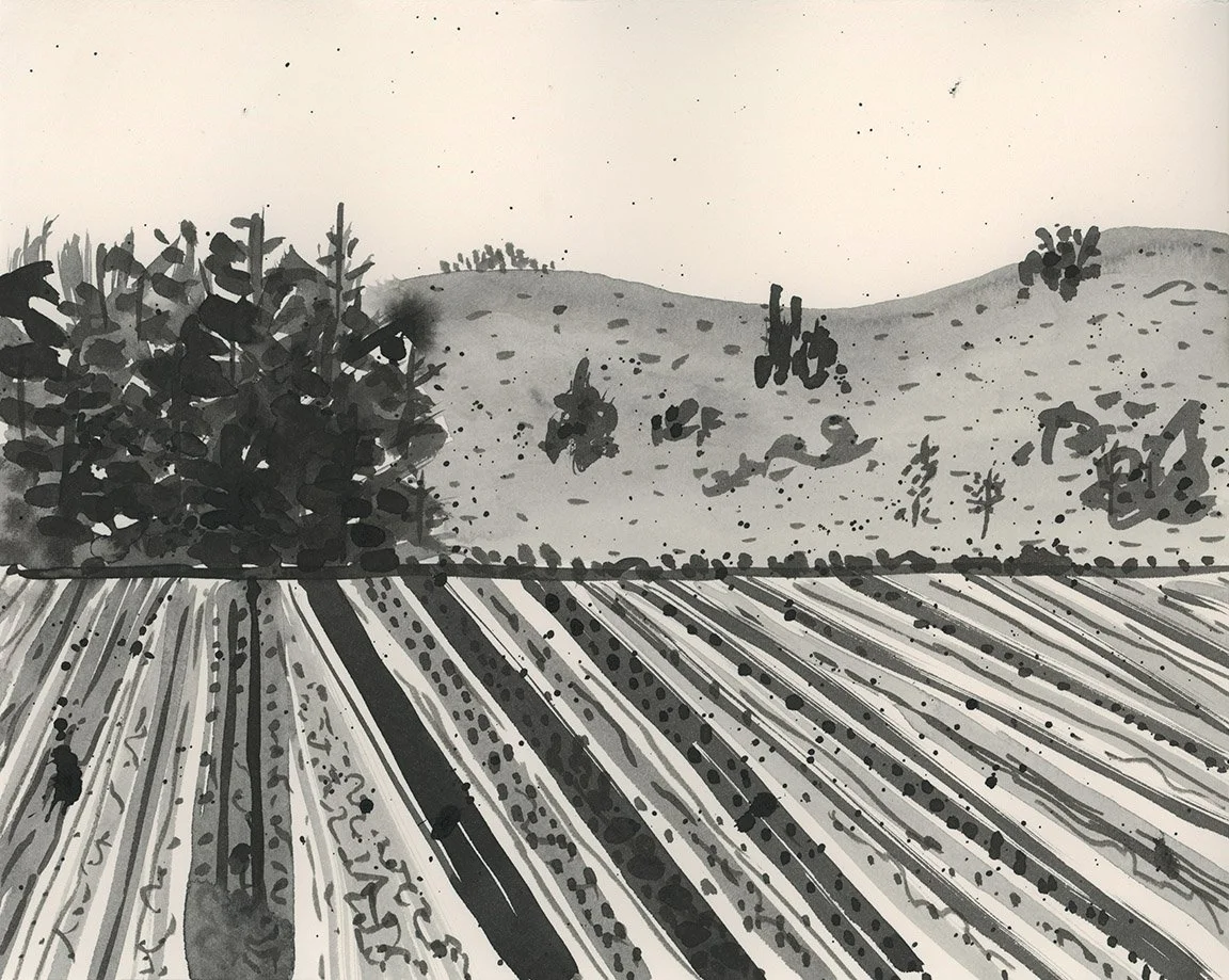 LS2622.jpg