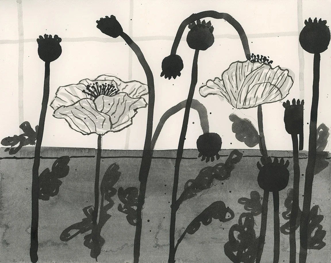 LS2639.jpg