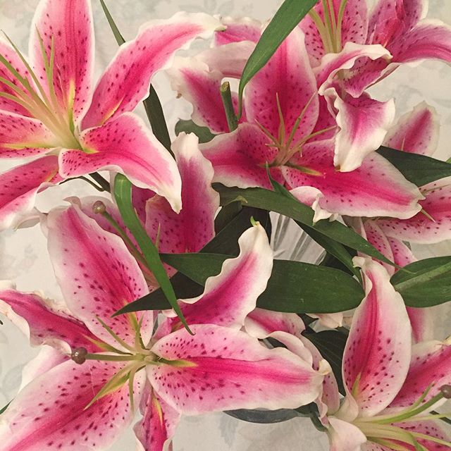 Stargazer lilies cheering me up on this gloomy morning. My whole kitchen smells amazing! #morning #blooms #flowers