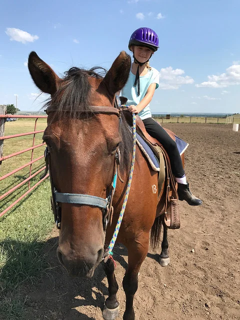 Horse Camps, ages 8-17