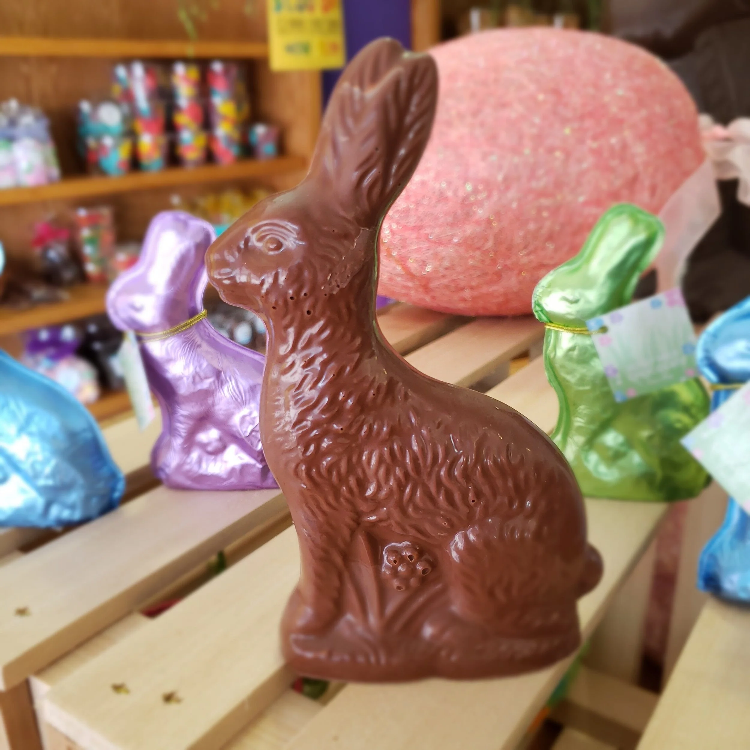 20200308_110122 1 (1).jpg