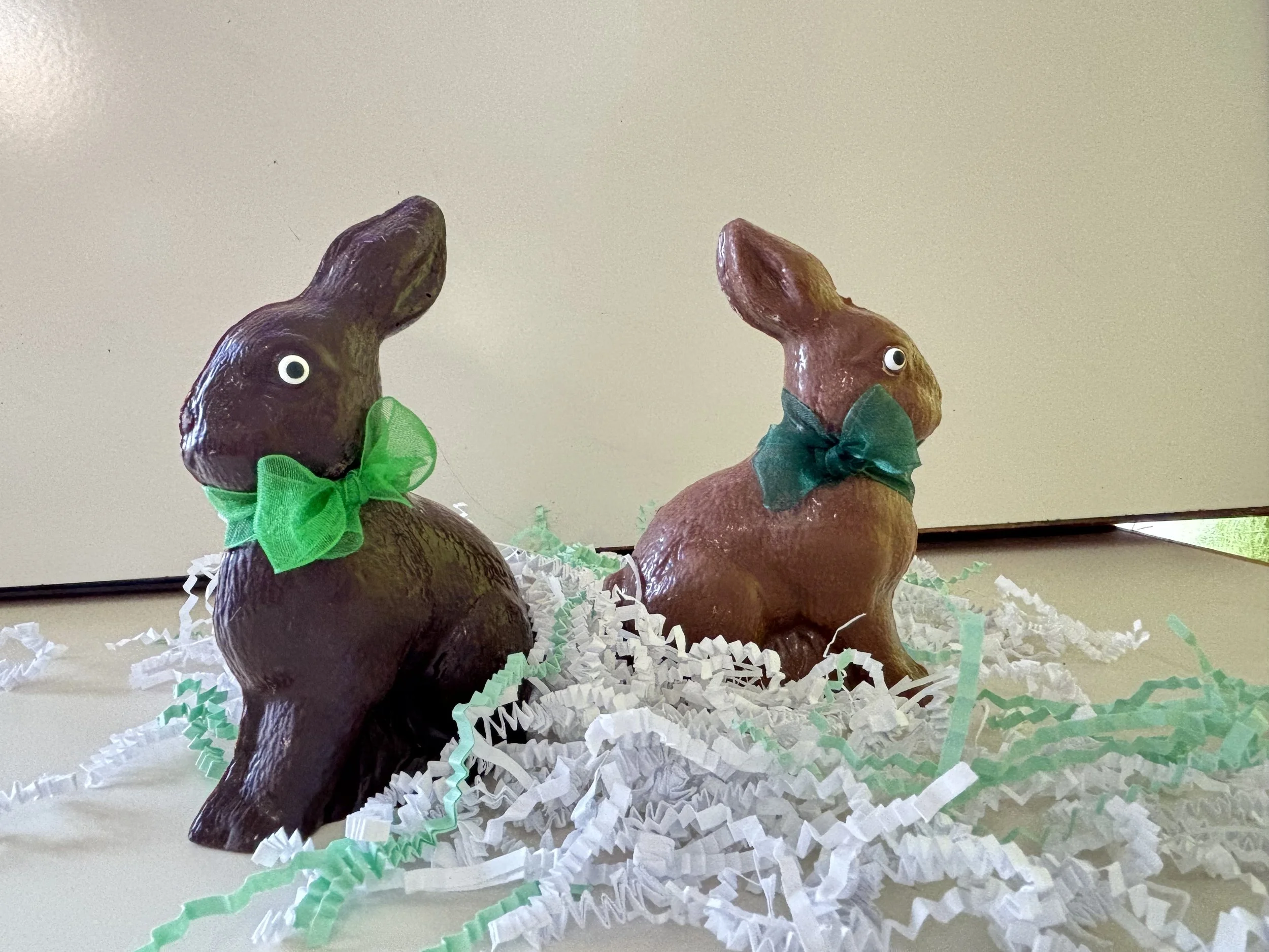 image_50445569 (1).JPG