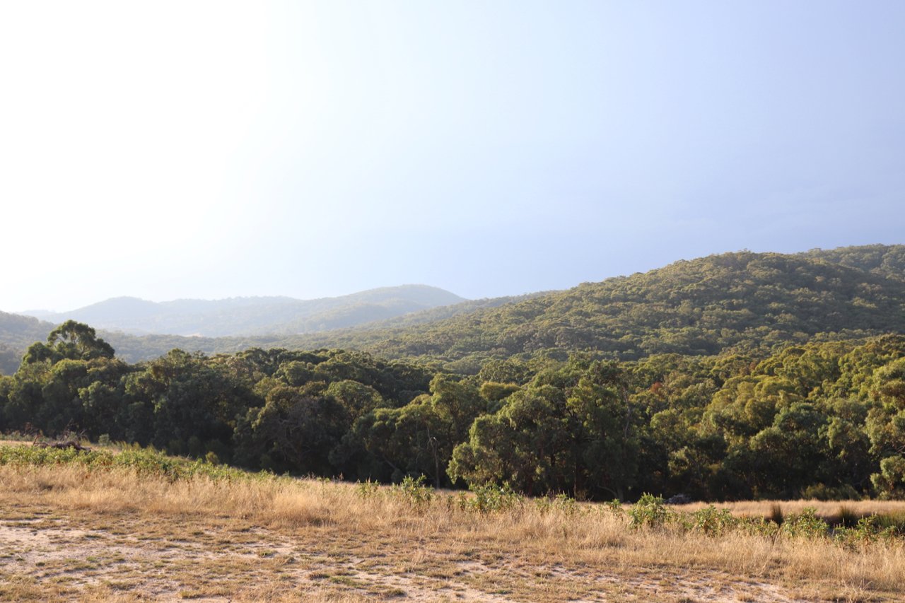 Site context
