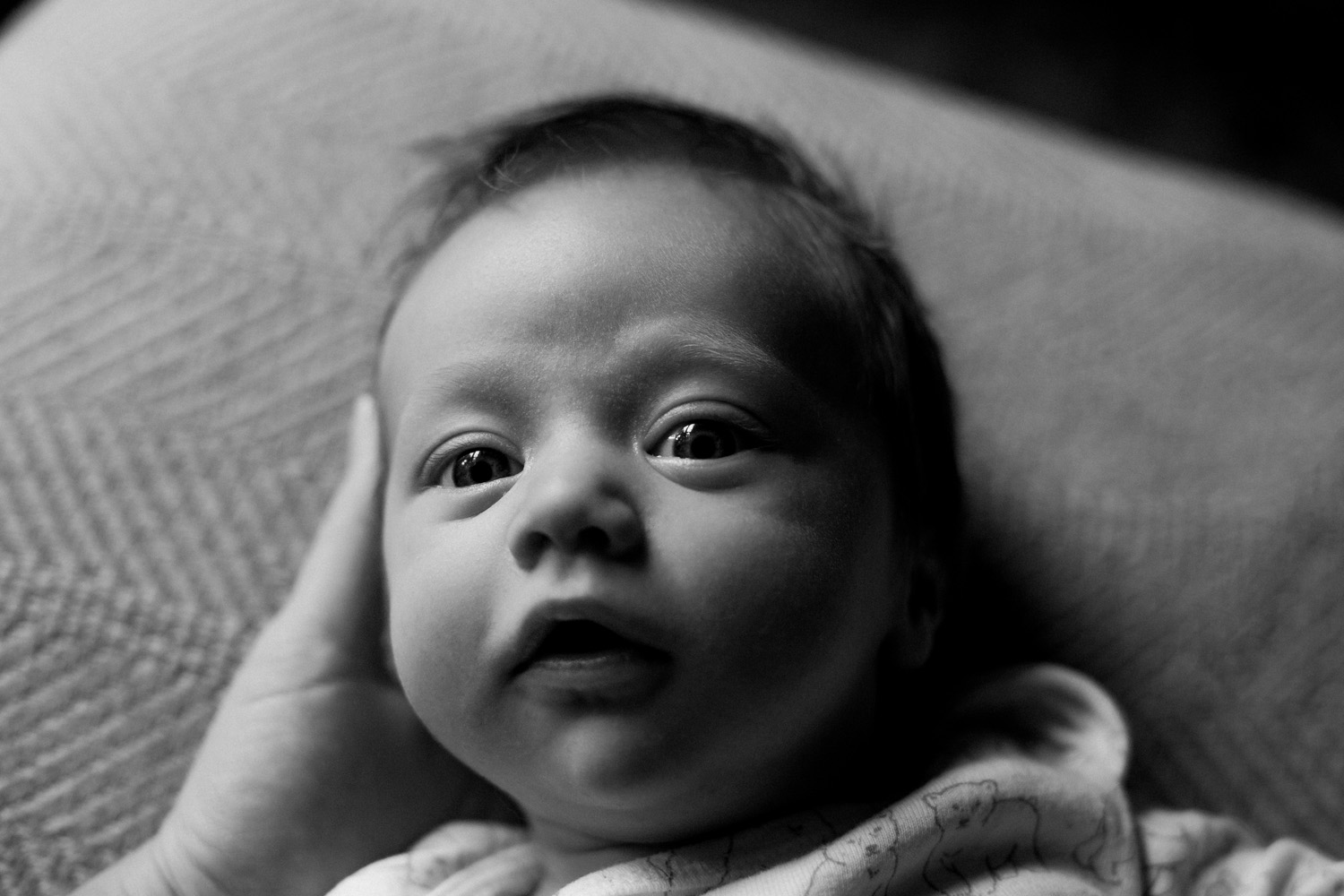 Portrait of Sam