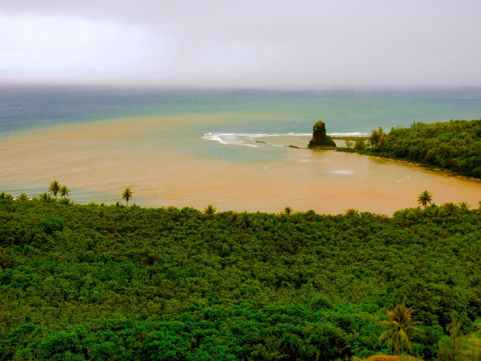 Sediment flowing into Fouha Bay, Guam after a heavy rain event. Photo by J. Lawrence- USDA NRCS PIA