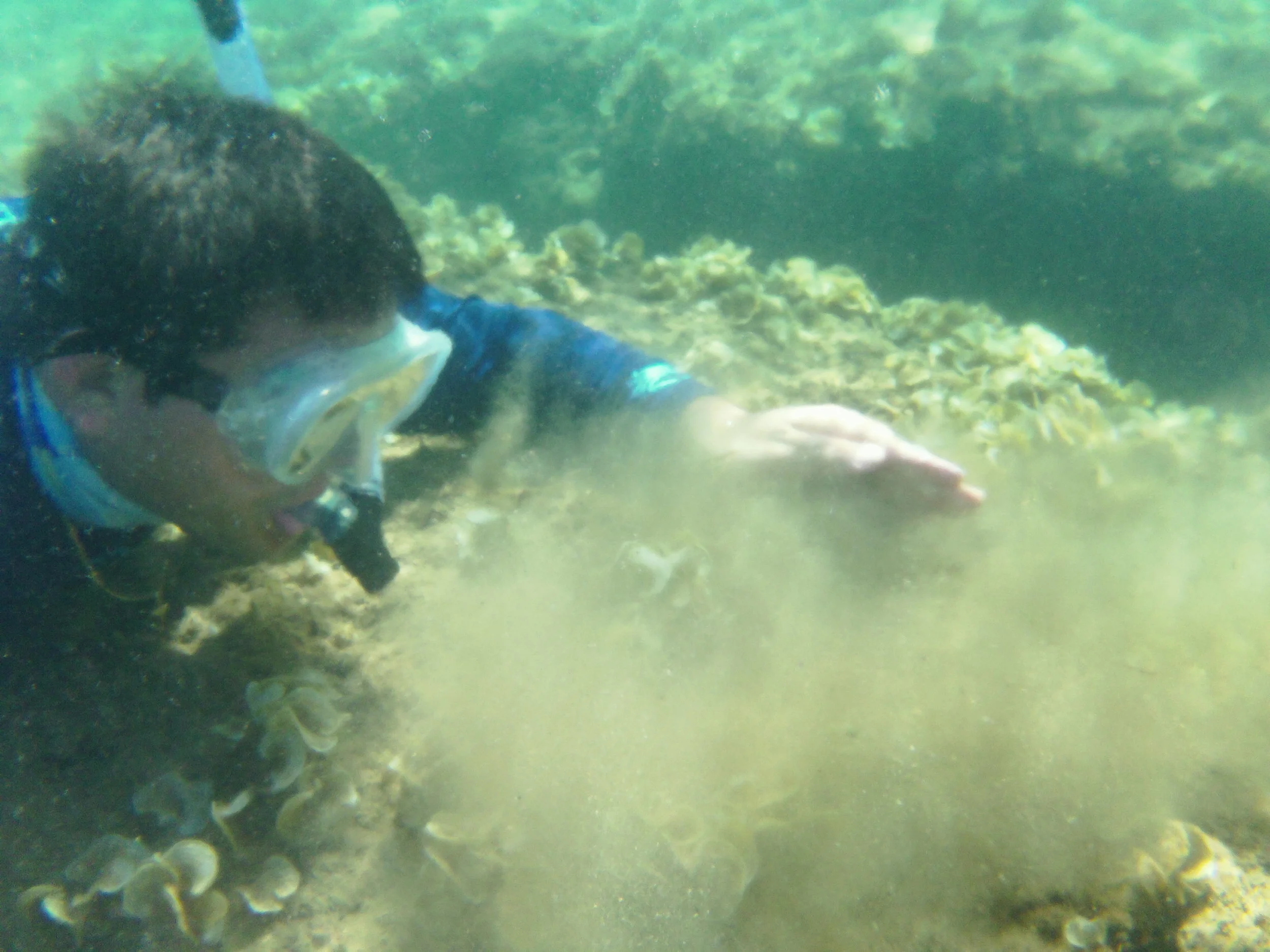 Sediment is layered on coral reefs in Fouha Bay.&nbsp;