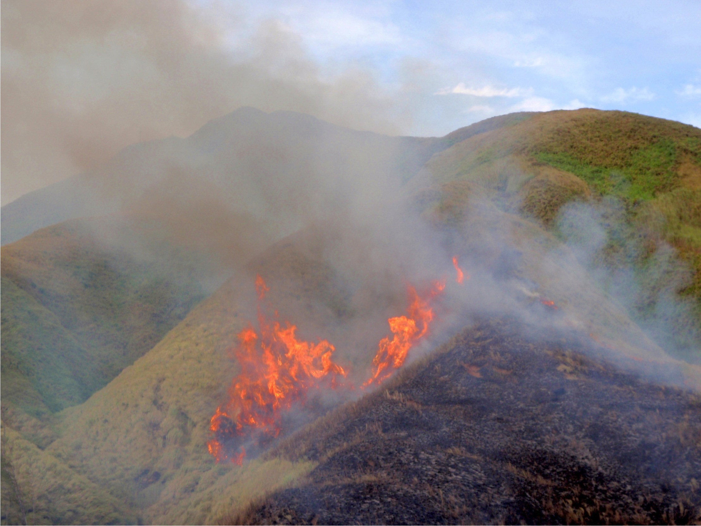 Wildfire in the upper La Sa Fu'a Watershed. Photo by R. Gavenda- USDA NRCS PIA