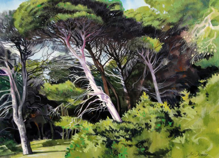 Bob Dorsey
