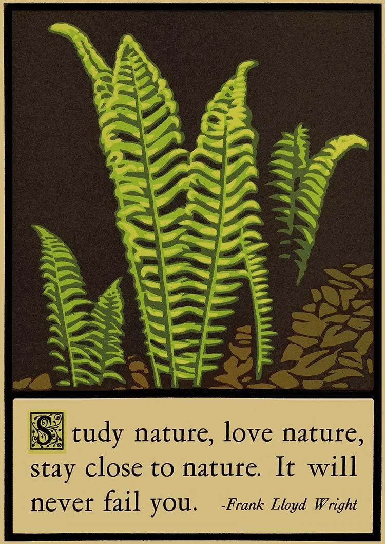 Laura Wilder, "Ferns" signed limited edition Block print $295. Sold (more prints are available)