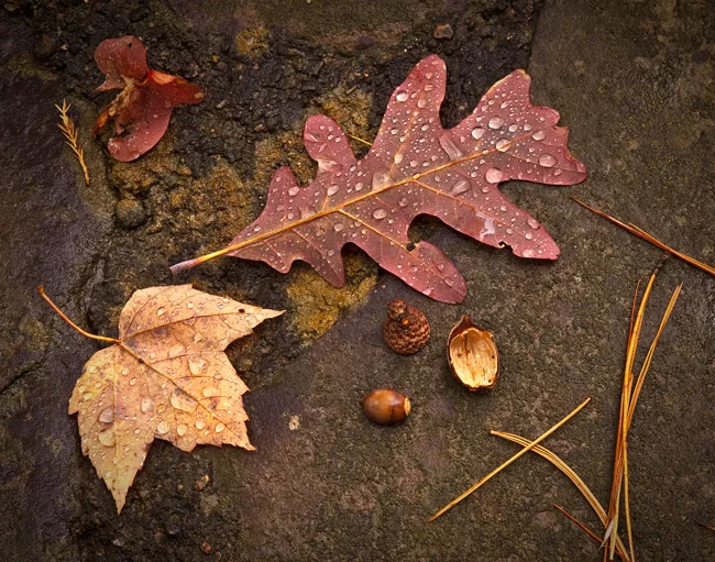 John Bailey, Photography