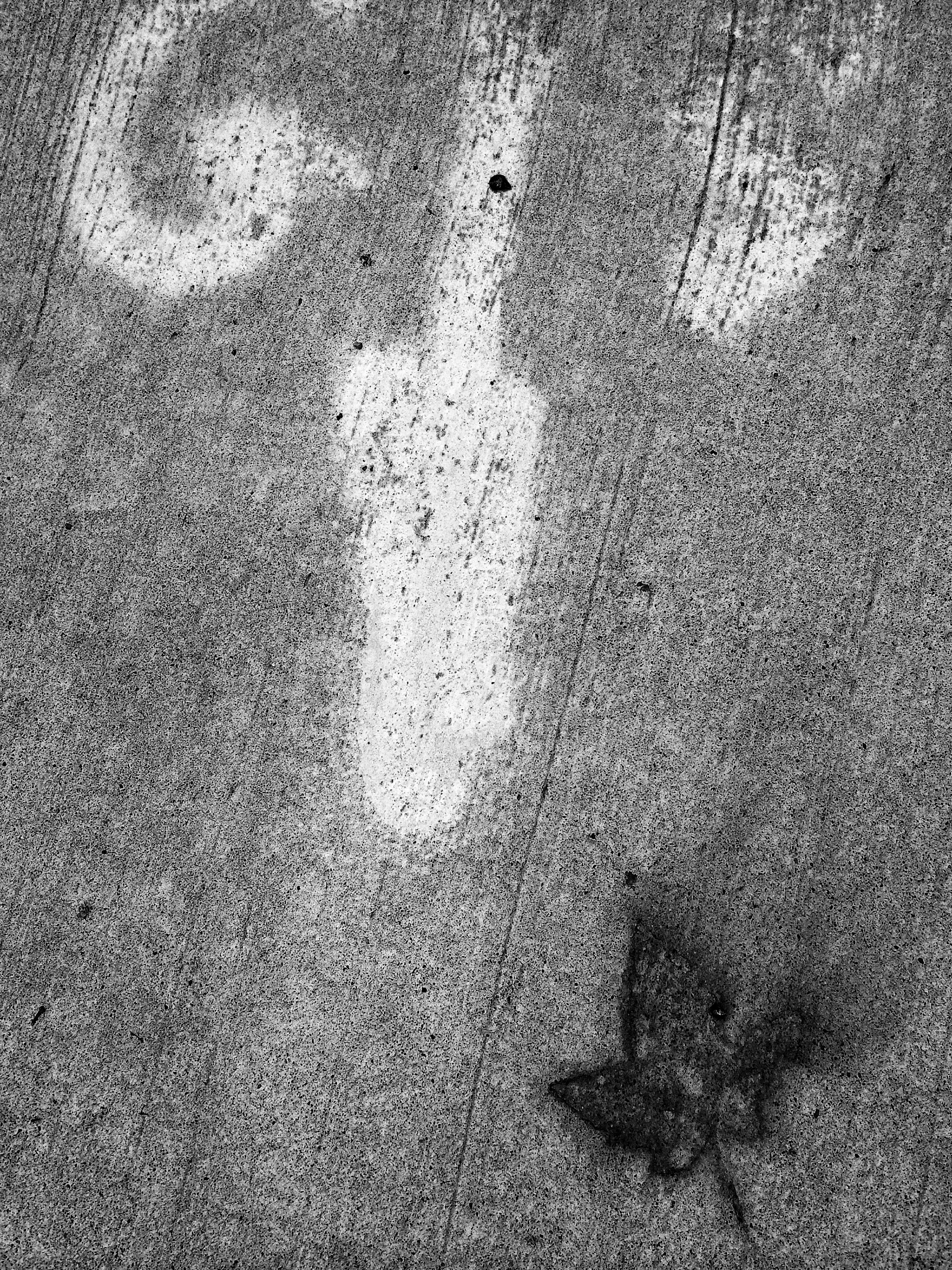 Denise Fabrizio, "Urban Still Life" Digital Photography, $150 
