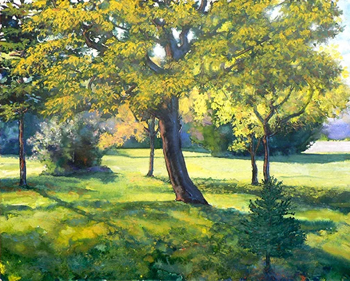 Robert Heischman, Small Spruce, Gouache , 16"x 20" $800