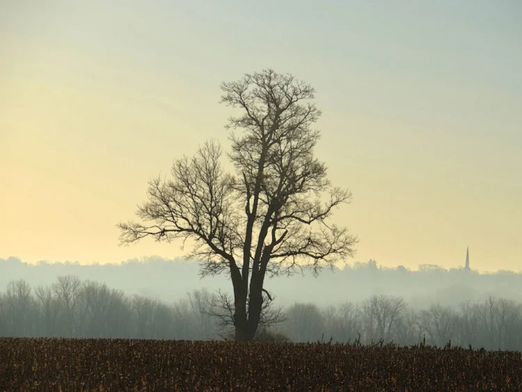 Mary Rapp Reakes, Sunday Morning, Digital Photo $250