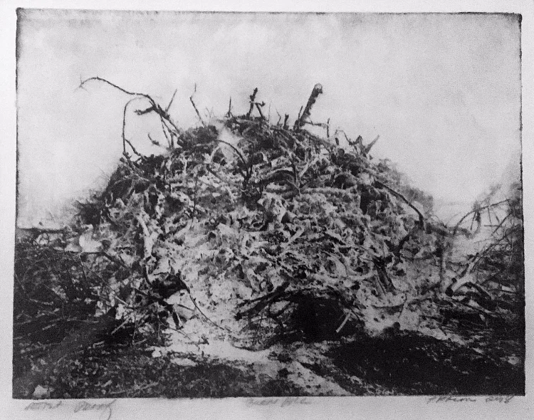 Pat Bacon, Burn Pile, Photogravur, polymer, 260.